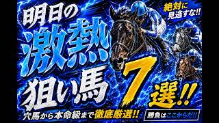 【中山・阪神】9/11（土）厳選競馬予想！万馬券期待の穴馬候補7レース
