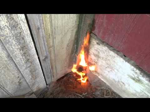 download lagu mp3 mp4 Mice Can Start Fires, download mp3 Mice Can Start Fires free download mp3, download mp3 Mice Can Start Fires