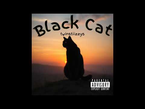Black Cat - Twinstiizzys (Archive) prod. SXMNIAK