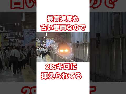 オーストラリアンガリラリス