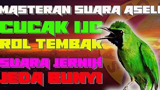 Download lagu MASTERAN CUCAK IJO ROL TEMBAK ISIAN KASAR, SUARA BERSIH DAN ADA JEDA BUNYI mp3