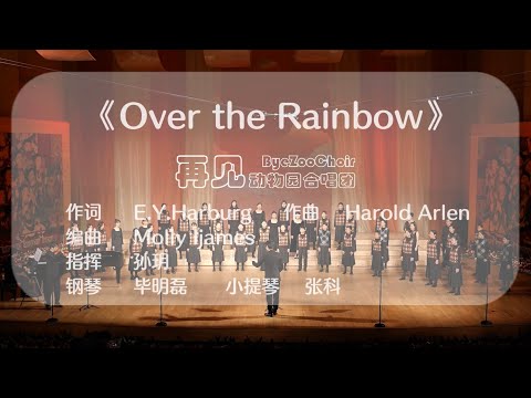 《Over the Rainbow》词：E. Y. Harburg/曲：Harold Arlen/编曲：Molly Ijames