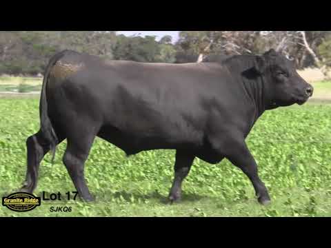 GRANITE RIDGE QUENTIN Q6