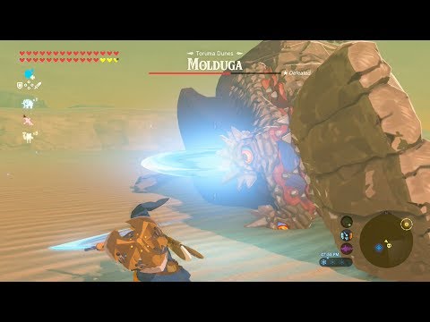 Upgraded Master Sword Beam Destroys Molduga - Zelda Breath of the Wild
