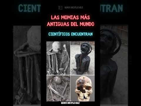 La Momia Solitaria | El Reino De Las Momias Egipcias | Nat Geo en Español