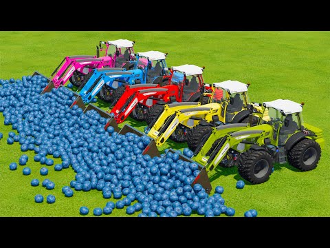 LOAD BLUEBARRYS AND TRANSPORT BATTLE WITH JOHN DERRE & RIGI TRAC TRACTORS - Farming Simulator 22
