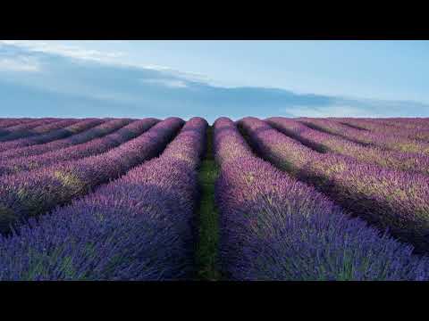 MUKIZA UTWEMERE (126) - HYSSOP CHOIR (PIANO COVER)