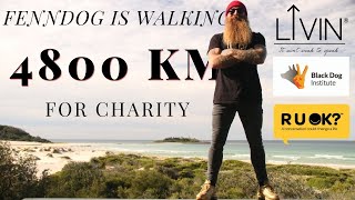 WALKING 4800km for Charity Black Dog RU OK Livin Fendogg Aussie Gypsy