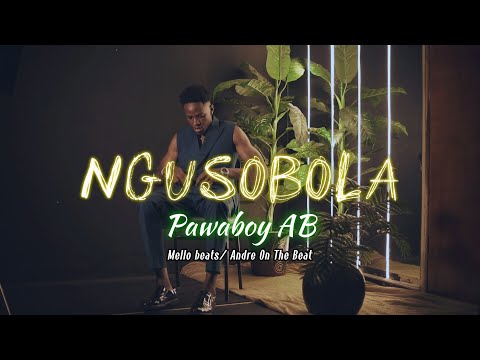 Ngusobola - Pawaboy AB (Visualizer & Lyrics)