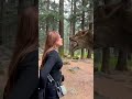 Bhediya Or Ek Ladki Akshay Nagwadiya Akshaynagwadiya Shorts Funny Bhediya