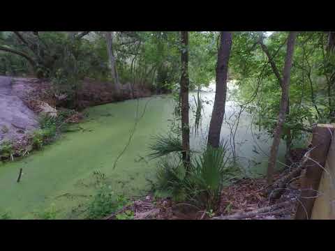 Alafia newest gap jump