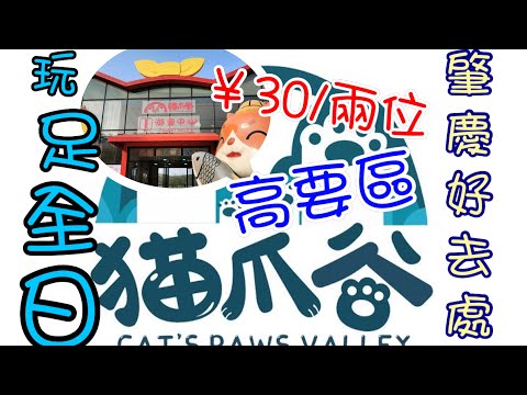 [Ch 68]肇慶好去處｜高要區｜4A景區｜貓爪穀｜¥30/兩位｜玩足一日｜強力推介｜小朋友必去#qualitydiving#qualityken#大灣區生活 #肇慶生活 #肇慶華僑城 #肇慶高要區