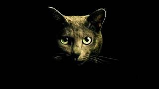 Volac - Open Your Mind (Original Mix)