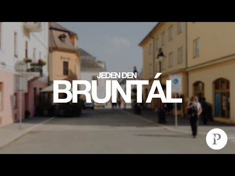 Náhled pro video reference
