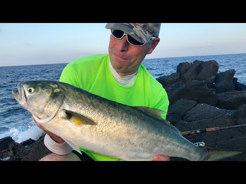 Bluefish på Fuerteventura