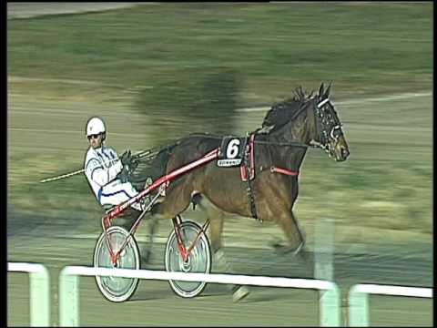 Trotto 03/02/2017 - 5ª corsa