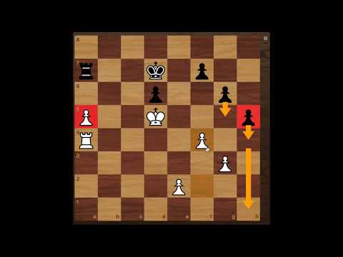 The Most Important Endgame in Zürich 1953, 🇳🇱 Max Euwe (⚪️) vs 🇸🇪 Gideon Ståhlberg (⚫️) Round 14