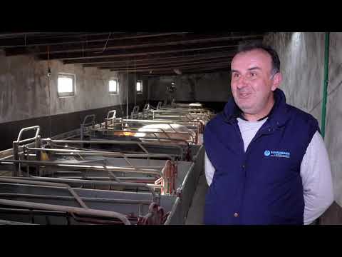 Domaćine kako radiš 24.02.2020. Svinjarstvo, Vrbica, Miloševac