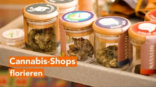 Andrang in Cannabis-Shops seit dem 1. April um ein Vielfaches gestiegen