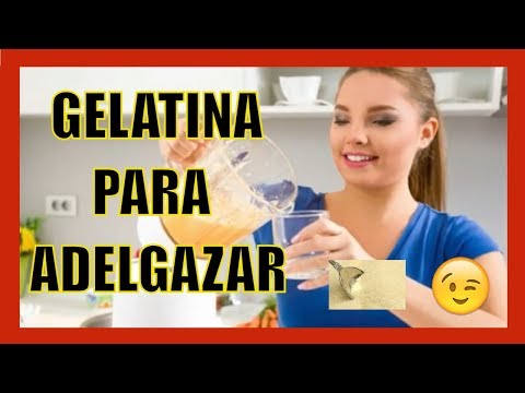 download lagu mp3 mp4 La Gelatina Es Grasa, download lagu La Gelatina Es Grasa gratis, unduh video klip La Gelatina Es Grasa