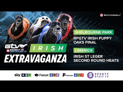 RPGTV Irish Puppy Oaks Final & Irish St Leger Second-Round Heats | Live Greyhound Racing