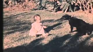 Epitáfio Lyrics English Translation