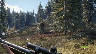 The Hunter - CALL OF THE WILD