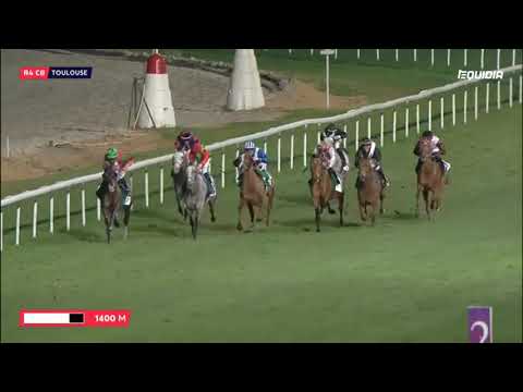 16/03 TOULOUSE : PRIX DJOURAS TU - WATHBA STALLIONS CUP (4 ans et +)