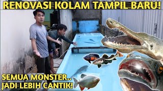 Download lagu ALL THE MONSTER FISH ARE BACK IN THE POND! THEIR BEAUTY WILL CALM YOU DOWN mp3 Download lagu ALL THE MONSTER FISH ARE BACK IN THE POND! THEIR BEAUTY WILL CALM YOU DOWN mp3
