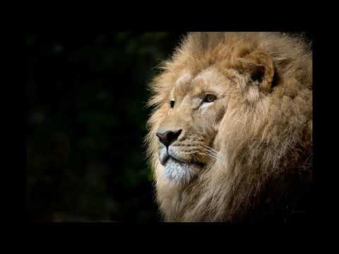 Alama feat  Nicole Cherry x Pacha Man   Sagapao  remix by Seeky