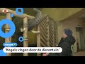 Ook dieren in gevaar door oorlog in Oekraïne