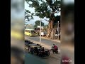 Sunny School Bus Video Dav Public School Gumla Short Gumla Short