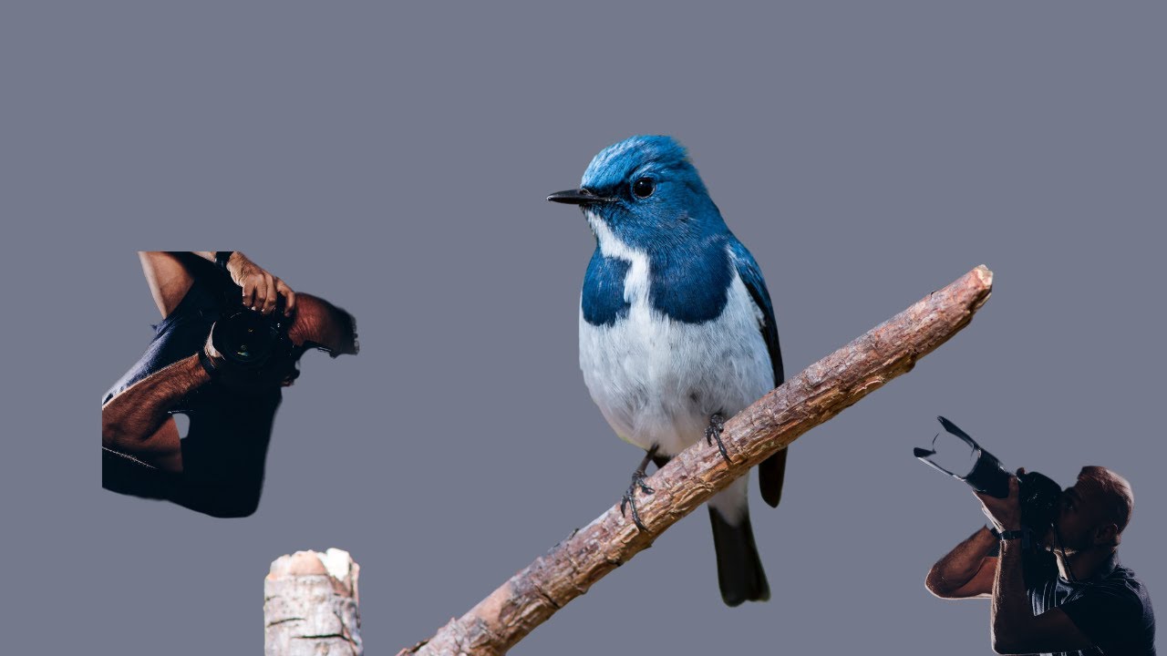 How to Create a LinkedIn Cover Photo in Canva for Cybersecurity ...