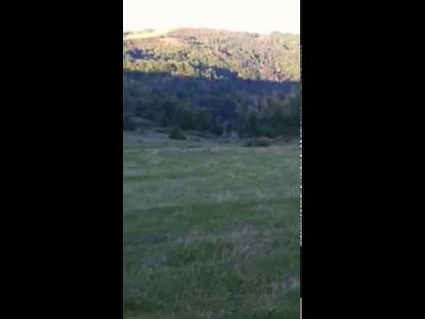 plimbare cu jeepul pe dealurile din romita ( 1 )