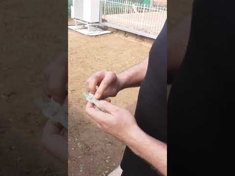 Savet i preporuka - protiv krtice ili slepaka (slepo kuce)