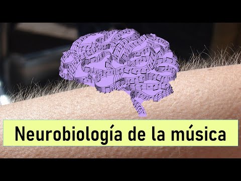 ¿Por qué se nos eriza la piel al escuchar música? ♪