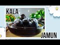 Kala Jamun Recipe | Indian Sweets Recipe