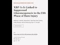 XBP-1s Is Linked to Suppressed Gluconeogenesis in the Ebb Phase of Burn Injury | RTCL.TV