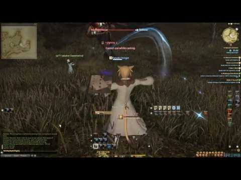 Final Fantasy XIV ARR - Level 30 Conjurer duty