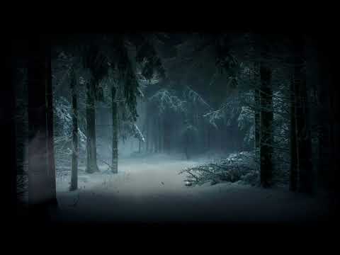 Sands of Fate: The Fisherman's Encounter