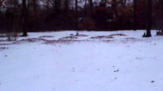 Just A Little Bit Of Snow