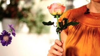How to Make Roses Last Longer | Wedding Flowers