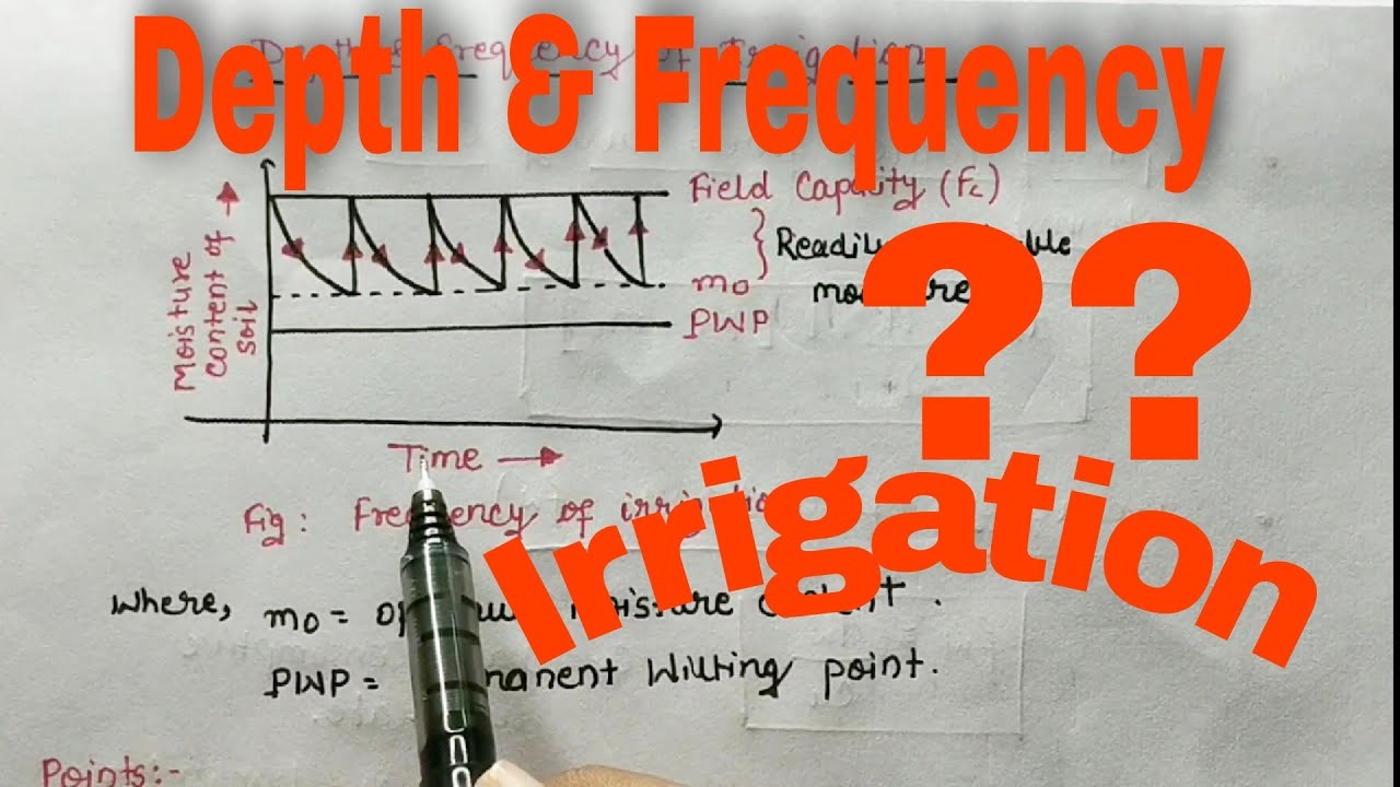 Depth & Frequency of Irrigation | Irrigation Engineering | Available Moisture | Consumptive Use