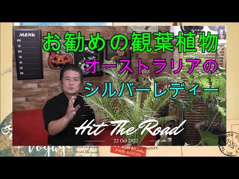 ブレクヌムについて詳しく解説