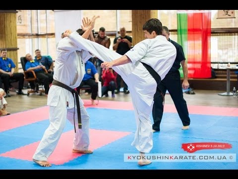Highlight Open Moldova Cup " 2 Grand Prix Mercedes" Kyokushin Karate (2013)