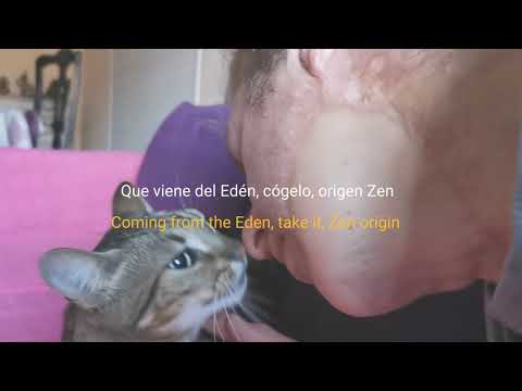 Edén - Billy Gavillow ft Lasai (Prod. Starsoundbeats)