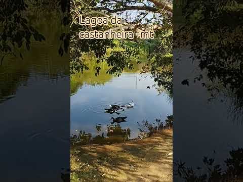 lagoa da castanheira -mt #@wenaroca8800