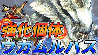 強化個体ウカムルバスを大剣ソロで倒したい【モンスターハンターダブルクロス/MHXX】