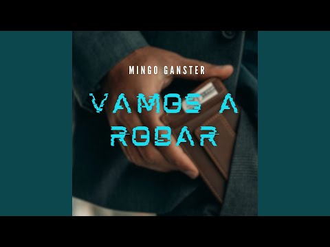 Vamos a Robar