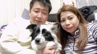 家に入る前に手と足を拭いてLALA CHAN